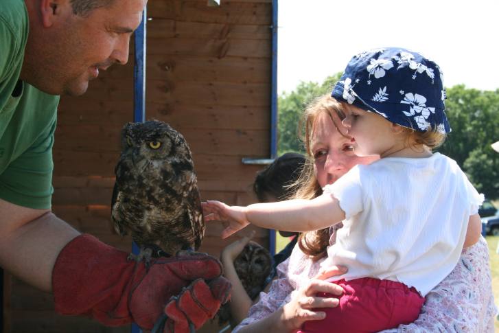 owl and child